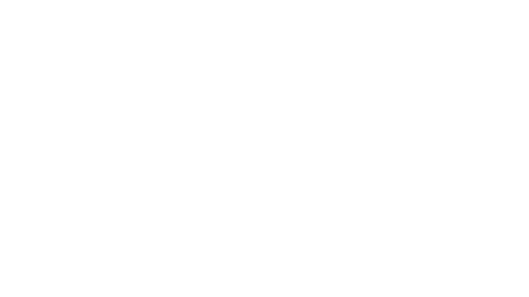 PROSEGUR BLANCO